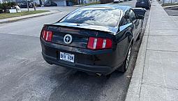 Mustang V6