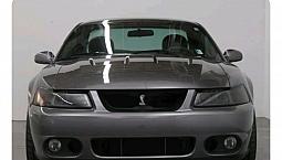 Mustang Iso