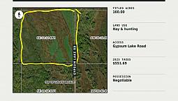 Wild Hayland/Hunting Land For Sale
