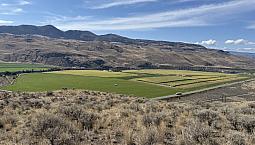 7 View Acreages For Sale 32 Mins W Of Kamloops 8, 10, 81 Acres