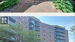 Condo For Rent