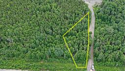 1.41 Acre Private Lot In Port Blandford - Mls® 1244006