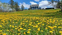 A Rare Opportunity On The Bay Of Fundy In Margaretsville, Ns