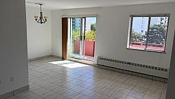 Large, Bright 1 Bedroom Apartment For Rent