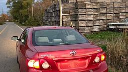 Toyota Corolla 2010