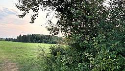 Looking For Country Home With Acreage
