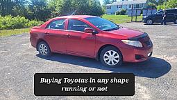 Wanted Toyotas In Any Shape. Sitting, Rusty, No Mvi, Broke Etc