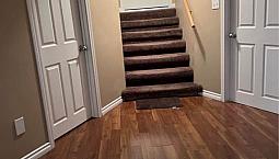 Basement Apartment