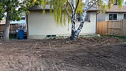 Three Bedroom House In Quiet Area