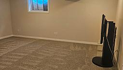 Sunny Basement Suite