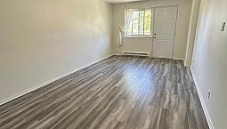 2 Bedroom 1 Bathroom For Rent