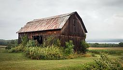 Looking For Land With Barn 