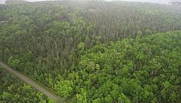 3 Acres With Deeded Access To Bras’d Or Lake