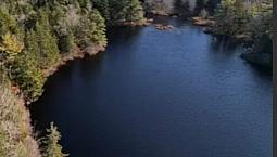 545’ Waterfrontage 5.5 Acres 15 Minutes From Windsor