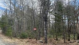 1.2 Acre Lot Molega Lake North