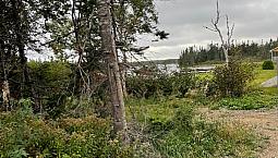 Pond Side Property For Sale (Price Reduced) Near Lethbridge, Nl