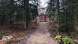 Cabin For Rent