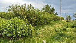 1 Acre Lot