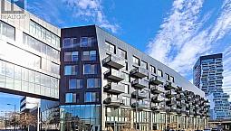 One Bedroom Condo Apartment In Downtown Toronto (corktown)
