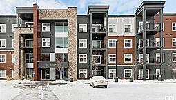 Luxury 2 Bedroom Condo For Rent