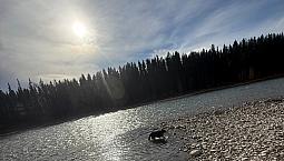 Cochrane Rental On Bow River $750 Includes Food 