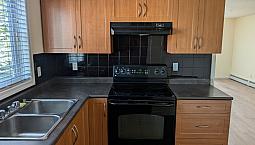 2 Br 1 Bath Freshly Painted, New Laminate 830 Sq Ft 2Nd Floor
