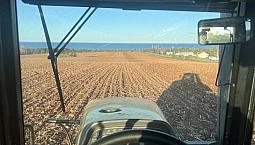 Look To Rent Land 