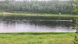 Lot For Sale On The Sw Miramichi River In Renous