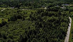 Land For Sale On The North Ohio Rd. 6+ Acres.