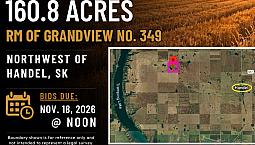 Land For Sale By Tender - Rm Of Grandview #349 – Nw Of Handel Sk