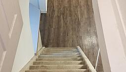 1 Bedroom Basement Suite