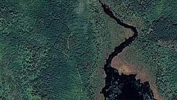 Endless Opportunities Await You At 37 Acre Lot In Port Dufferin!