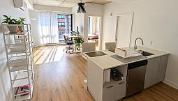 Appartement Condo 3 1/5 Berri Uqam Centre Ville Tout Compris