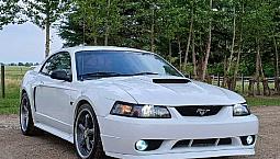 2003 Ford Mustang Gt 4.6 Litre V8Super Low Km! 