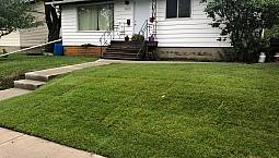 For Rent - Bright 2 Bdrm Updated House, Central Location