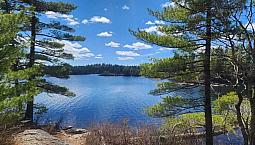 Looking For Lakefront Lot