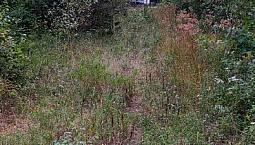 Land For Sale Pictou County Nova Scotia