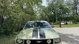 Mustang Gt
