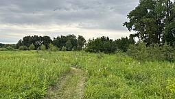 Price Reduced     5-acre Lot.