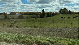 Considering Selling Your Vacant Land? ...