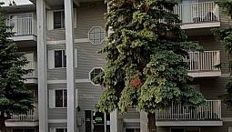 Apartment For Rent In Edmonton