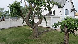 House In Fairview, Alberta With Large Corner Lot