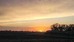 Farm Land For Sale