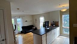Large 1 Bedroom Apartment Renting For November 1St