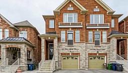 1 Walk-in Basement Apartment