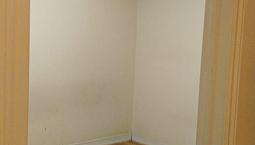 Spacious Single Bedroom Basement With Large Kitchen And Hall