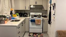 1 Bed 1 Bath Apartment