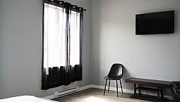 1 Bed + 1 Bath | Renovated Apartment For Rent