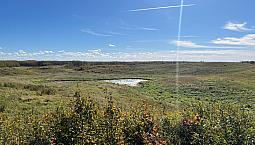 50 Acre Future
