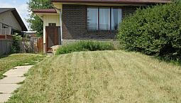 4 Bedrooms House For Rent In Dover Se. Calgary. Ab.